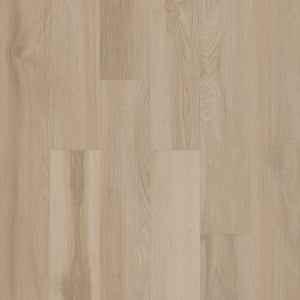 00104_5M318 - small 1