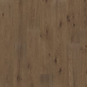 PTL08-869 - small 1