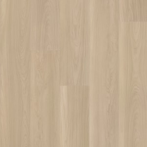VV968-05041 - small 1