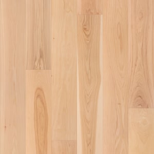 SW779-01157 - small 1
