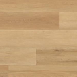RKP8103 - small 1