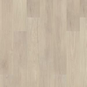 PTL07-941 - small 1