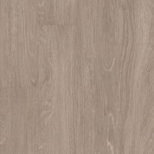 00775_5M308 - small 1