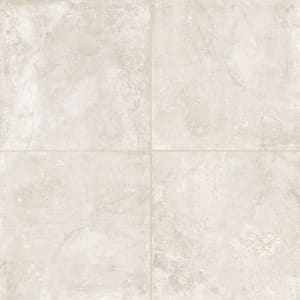 LPAVNSORIVO2424 - small 1