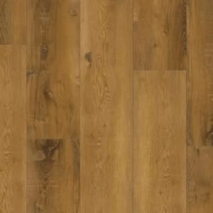 P2239-M6407 - small 1