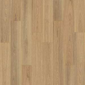 PSR16-152 - small 1