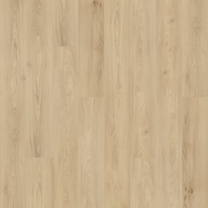 SDP10-237 - small 1