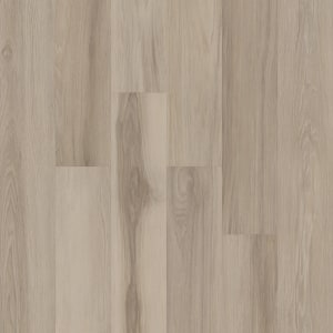 00102_5M318 - small 1