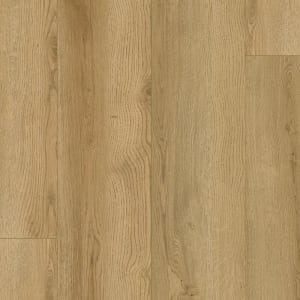 SDS04-828 - small 1