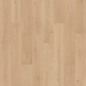 PSR18-853 - small 1