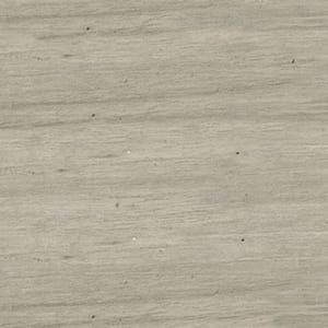 VEX-118552 Ghost Elm - small 2