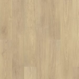 PTL07-148 - small 1