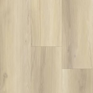 P2244-M2516 - small 1