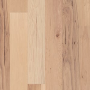 SW773-01155 - small 1