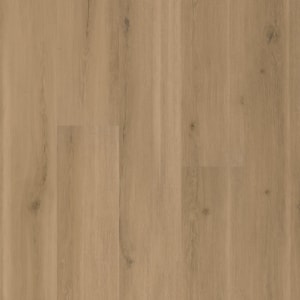 MAX742 - small 1