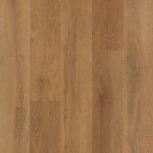 ECS21-813 - small 1