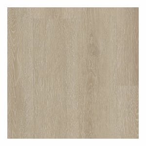 PT016-731 - small 1
