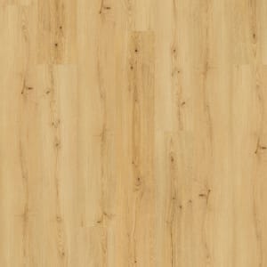 SDP50-410 - small 1