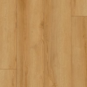 SDS04-232 - small 1