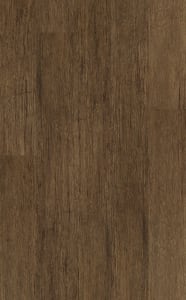 00729_0505V - small 1