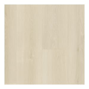 PT016-138 - small 1