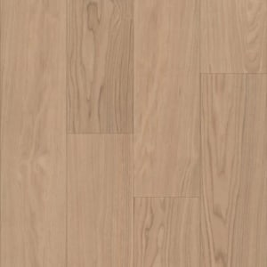 P1057-D7101 - small 1