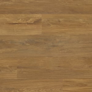 RKP8237 - small 1