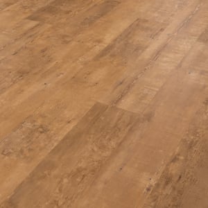 SCB142 - small 1