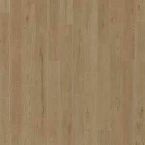 D2026-6208 - small 1