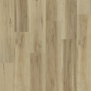 WP021-2105 - small 1