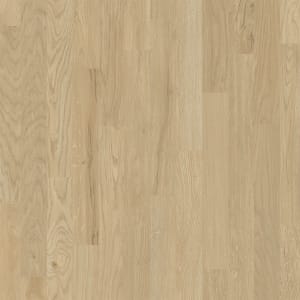 D2021-6006 - small 1