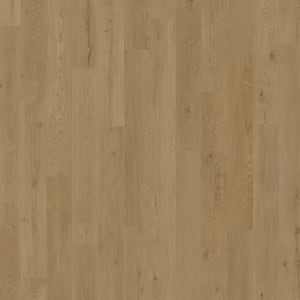D2021-6009 - small 1