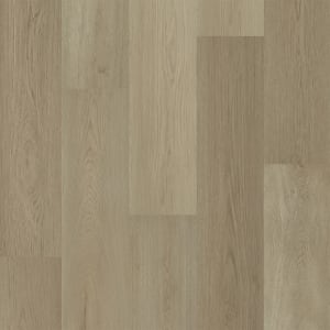 R018-8007 - small 1