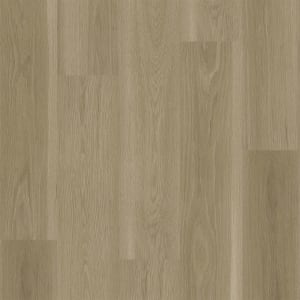 R016-6002 - small 1
