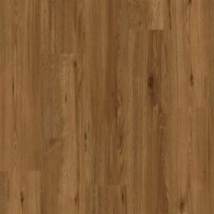 R016-6012 - small 1