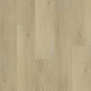 L066-6603 - small 1