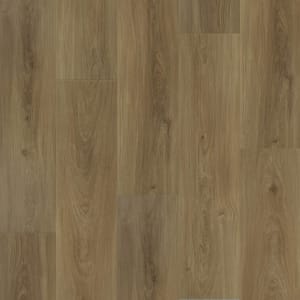 L066-6606 - small 1