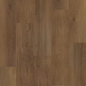 L066-6610 - small 1