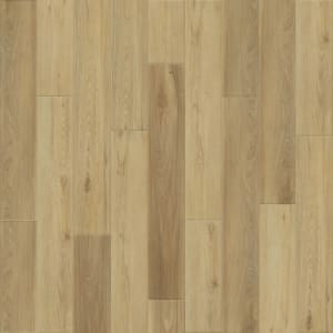 L055-5509 - small 1