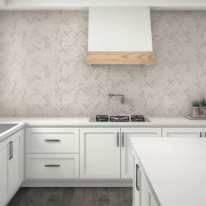 AR4224HERRMS1P2 - small 