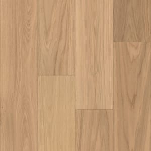 WO702-F1683 - small 1