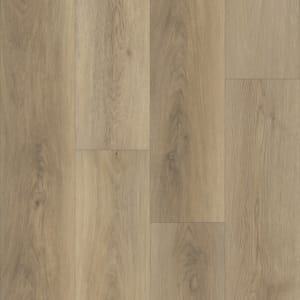 P2256-M2104 - small 1