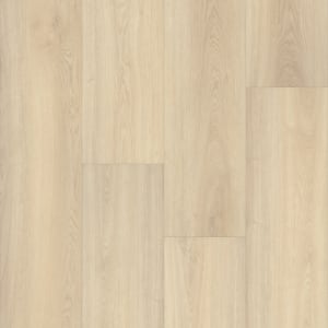 P2248-MC275 - small 1