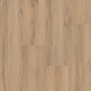 P2248-MC293 - small 1