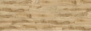 RERA210-WP - small 1