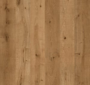 REMI7010-WP - small 1