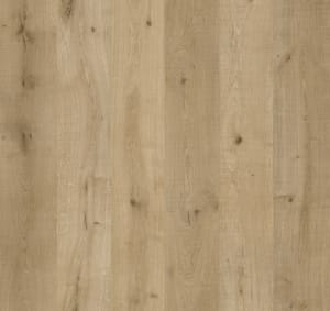 REMI7060-WP - small 1