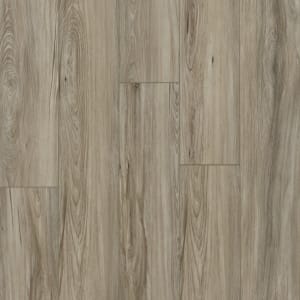 RSP106 - small 1