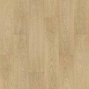CDL02-232 - small 1