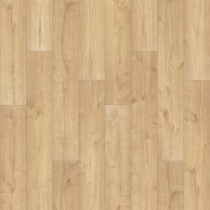 CDL33-142 - small 1